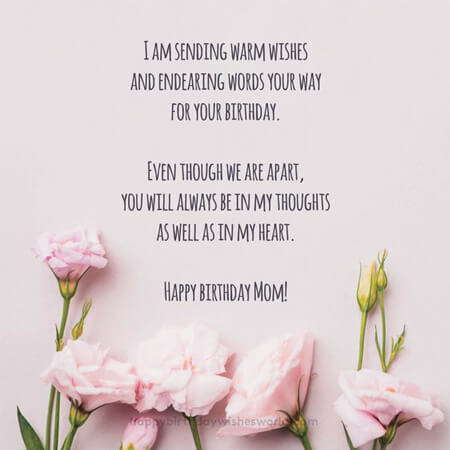Lời chúc sinh nhật mẹ ý nghĩa bằng tiếng Anh