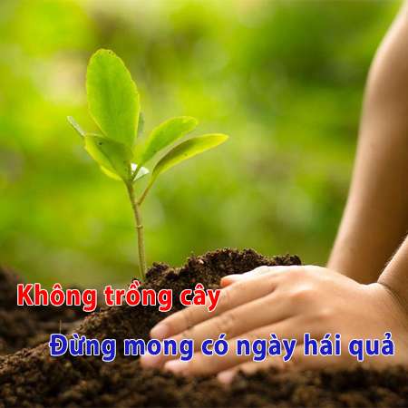 Những status chất về cuộc sống