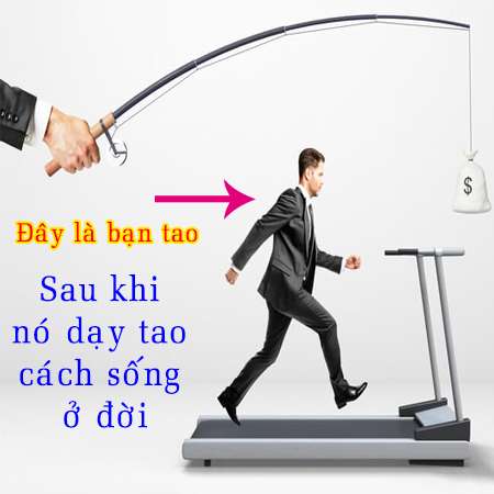 Những câu nói chất về cuộc sống