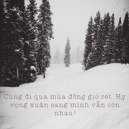 Stt mùa đông hài