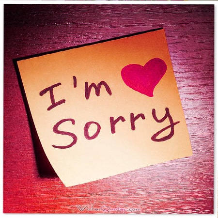 Lời xin lỗi người yêu chân thành mau hết giận HoaTieuvn
