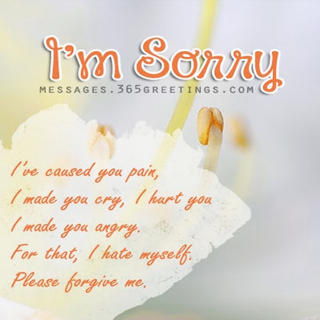 lời xin lỗi đáng yêu