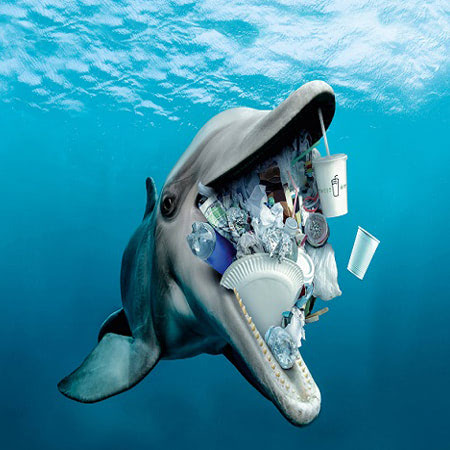 Hình ảnh rác thải nhựa