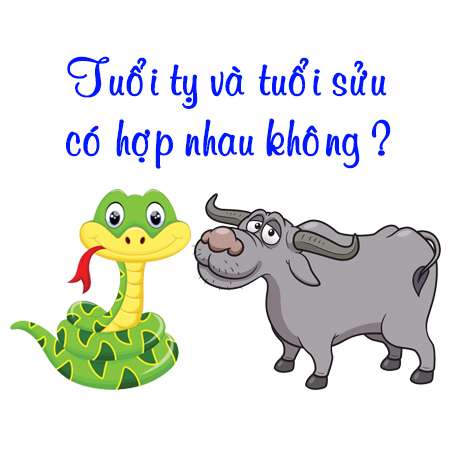 Tam hợp Tỵ Dậu Sửu là gì? | SanGia VN