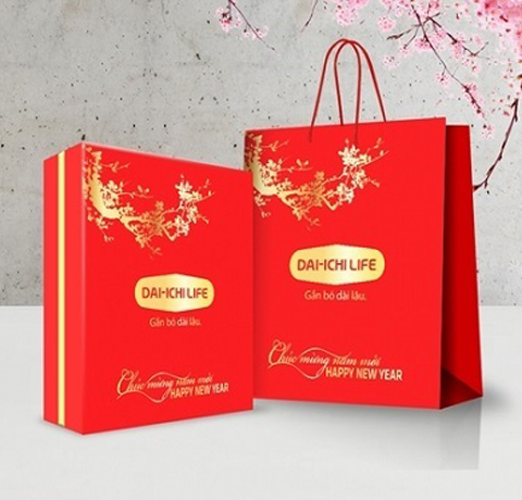 DANH MỤC CÁC LOẠI TÚI ĐỰNG QUÀ TẶNG SANG TRỌNG VÀ LỊCH SỰ CHO BẠN