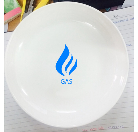 MÃU DĨA SỨ 20cm TRUNG QUỐC (GIÁ CHƯA GỒM IN LOGO)