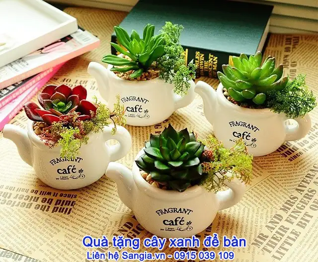 210023tang cay xanh cho nhan vien