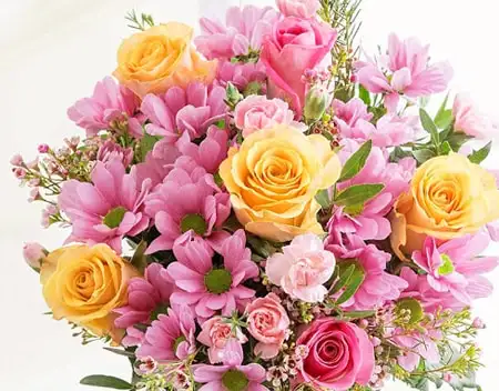 Hoa sinh nhat tang nguoi than