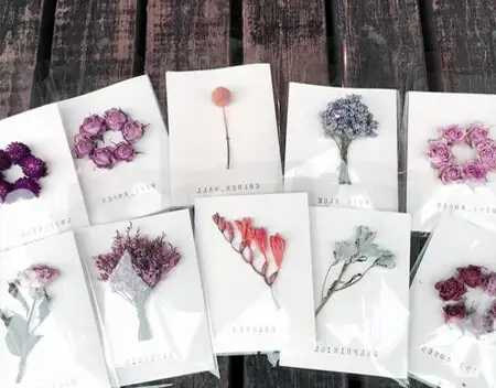 Loi moi sinh nhat hai huoc bia