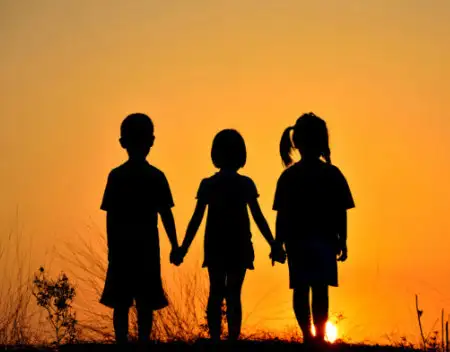 cau noi ve tinh ban ran nut