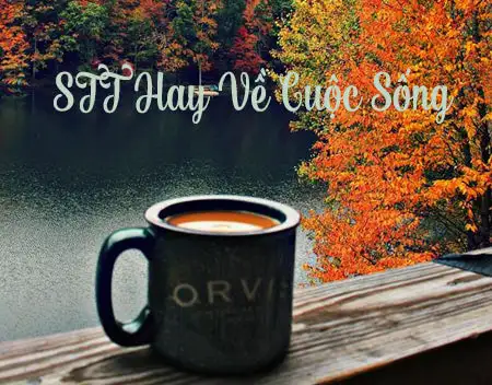 stt hay ve cuoc song