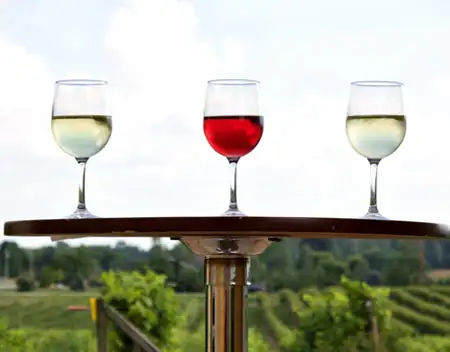 tac dung cua ruou vang